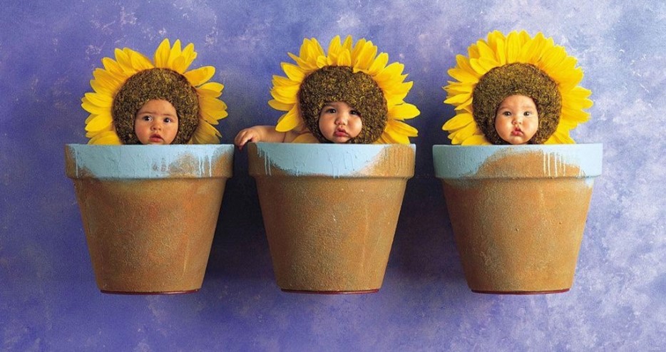 Babies in flower pots