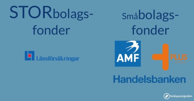 storbolag som t.ex LF Global Index vs småbolag som t.ex. PLUS-fonder, AMF eller Handelsbanken